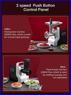 Heavy Duty Stainless Steel Electric 5 in1 Meat Grinder Mincer for Home Kitchen